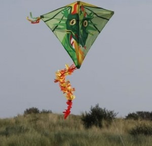Spiderkites Eddy Dragon