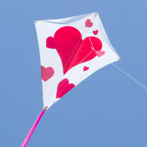 Eddy Hearts XL