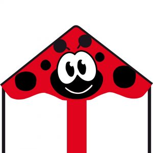 Ecoline Simple Flyer - Ladybug