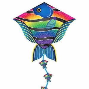 X-Kites DLX Reef fish