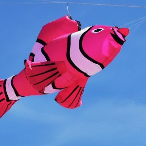Lucky fish - pink